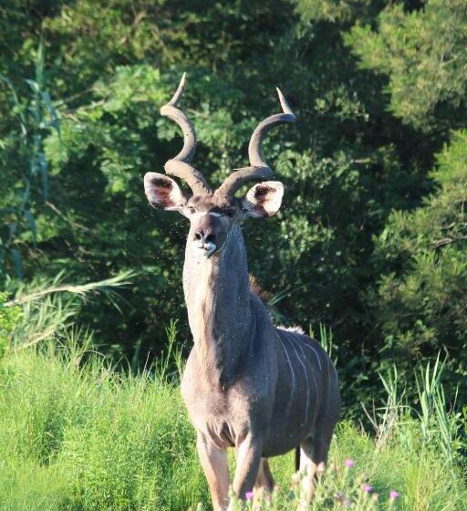 膳宿费 Barnside Guest House