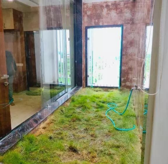 Pm Guest House