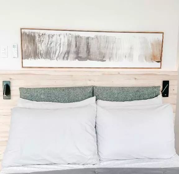 Vibrant Oasis With The Best View + Fast Wifi