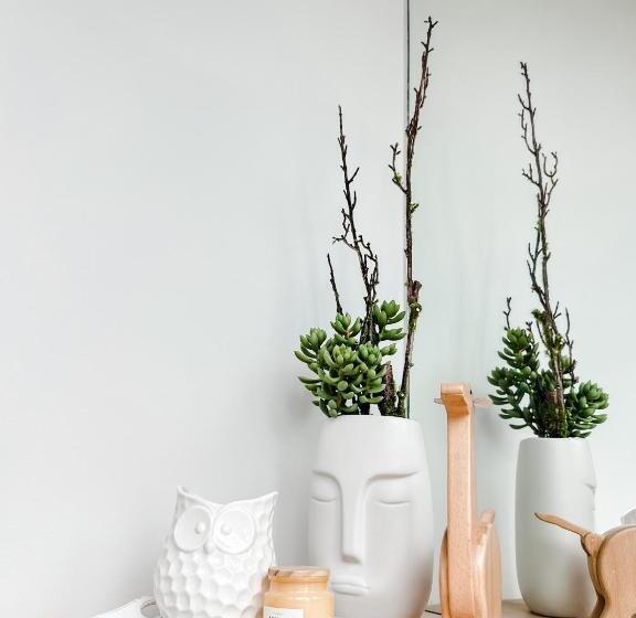 Vibrant Oasis With The Best View + Fast Wifi