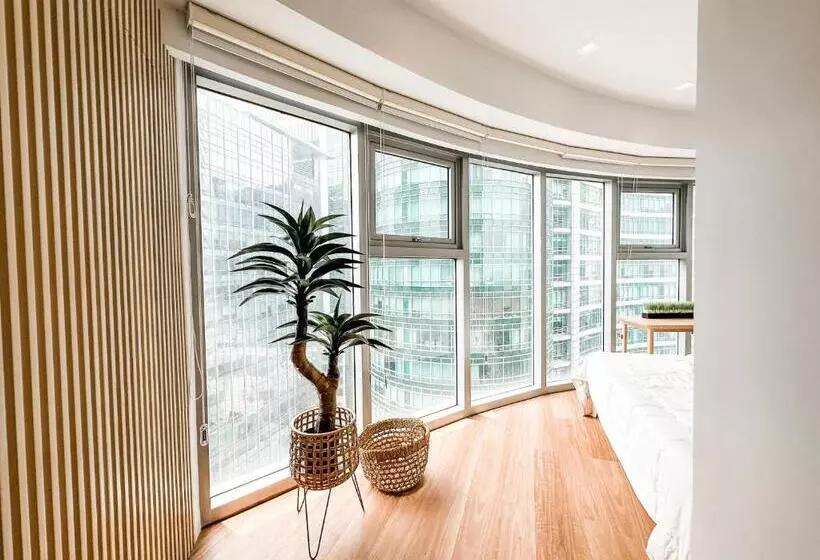 Vibrant Oasis With The Best View + Fast Wifi