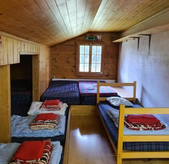 ユースホステル Berghaus Horneggli