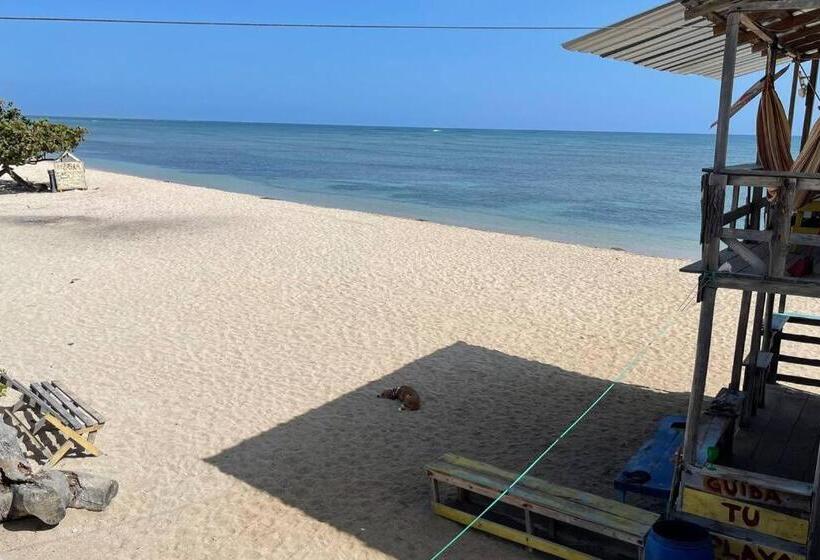 Friendly Kite School, Hotel And Bar