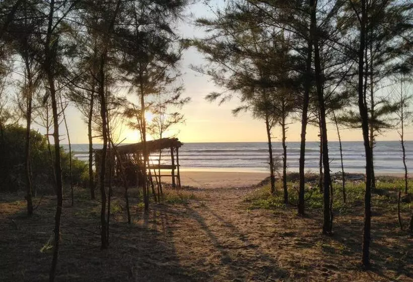 ホテル Aditya Beach Resort