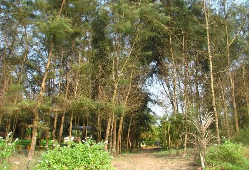 ホテル Aditya Beach Resort
