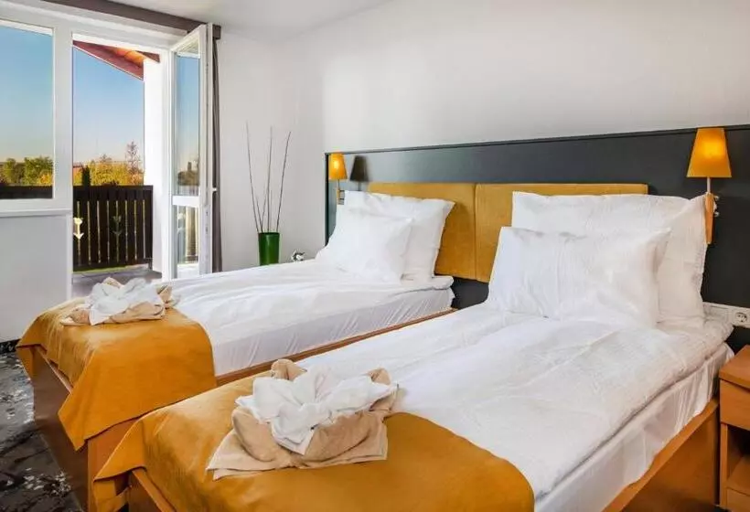 Zsóry Liget Hotel & Spa Superior
