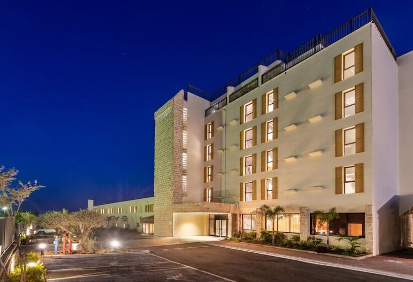 בית מלון כפרי Roxon Desert Arad