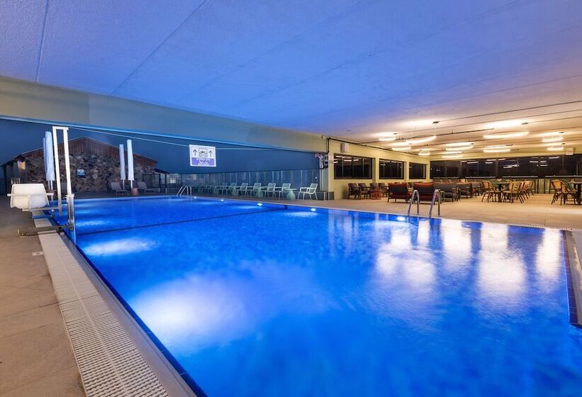 בית מלון כפרי Roxon Desert Arad