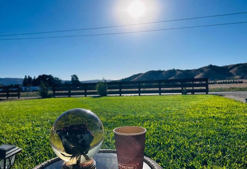 酒店 Stay With Lies L