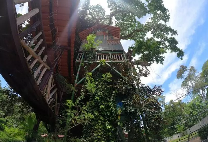 ホテル Tree House Samanea Lodge