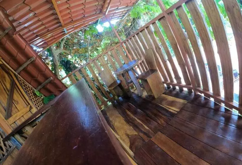 ホテル Tree House Samanea Lodge