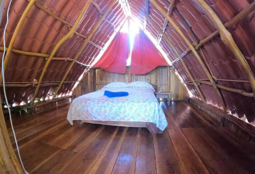 فندق Tree House Samanea Lodge