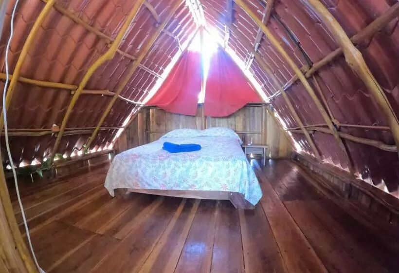 ホテル Tree House Samanea Lodge