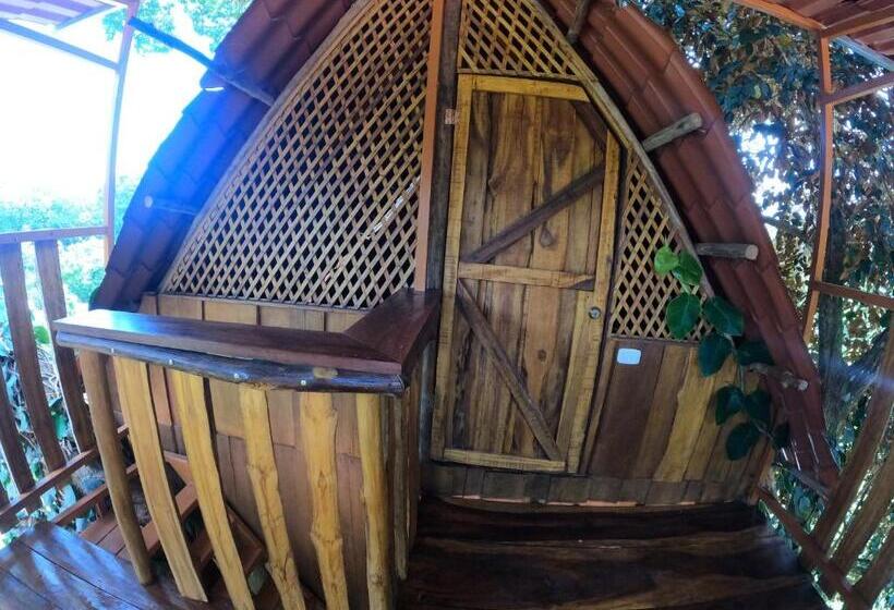 فندق Tree House Samanea Lodge