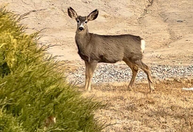 Пансион Comfortable Luxury Private Room!