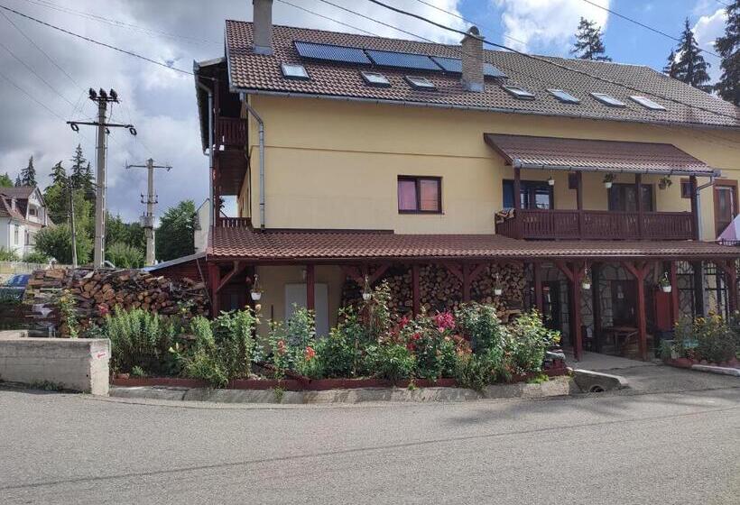 膳宿费 Edelweis Floare De Colt