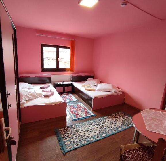 膳宿费 Edelweis Floare De Colt