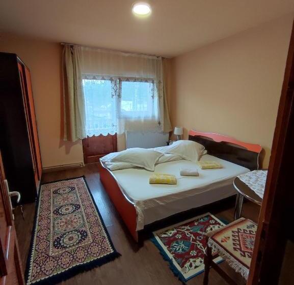 膳宿费 Edelweis Floare De Colt