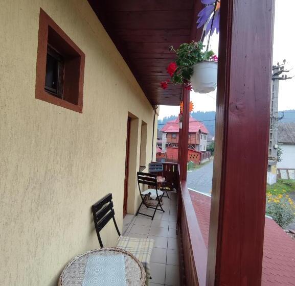 膳宿费 Edelweis Floare De Colt