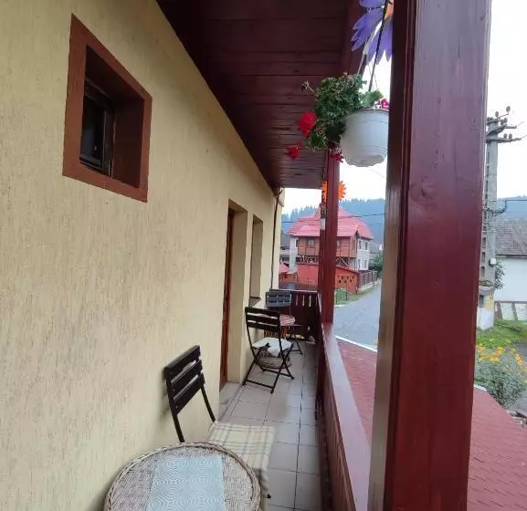 Majatalo Edelweis Floare De Colt