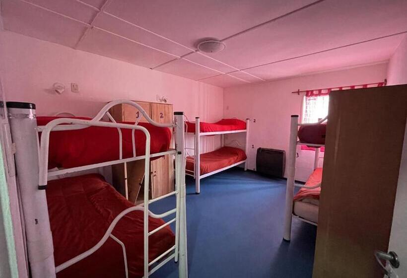 Hostel Complejo Don Joel
