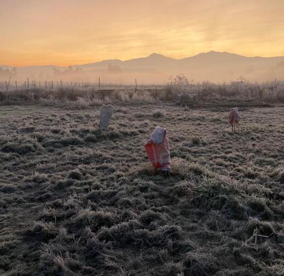 住宿加早餐  Bienvenido A Campo Alerce