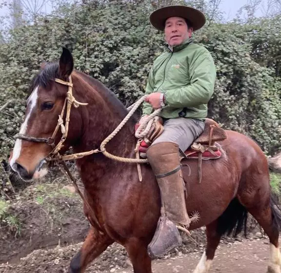 ベッドアンドブレックファースト Bienvenido A Campo Alerce