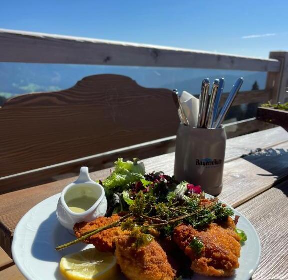 Naturhotel & Bayernhütte Am Brauneck