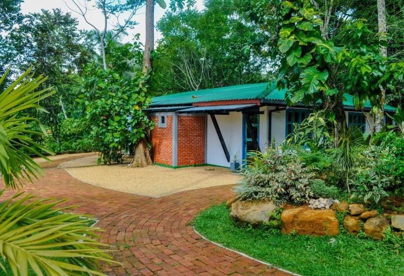 فندق Uma Garden Kandegedara