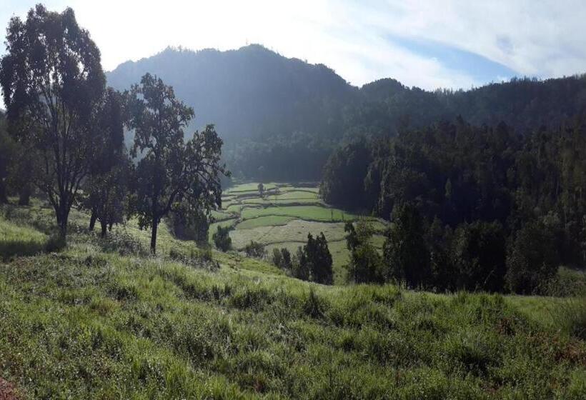 Kadumane Hills Pure Veg Resort