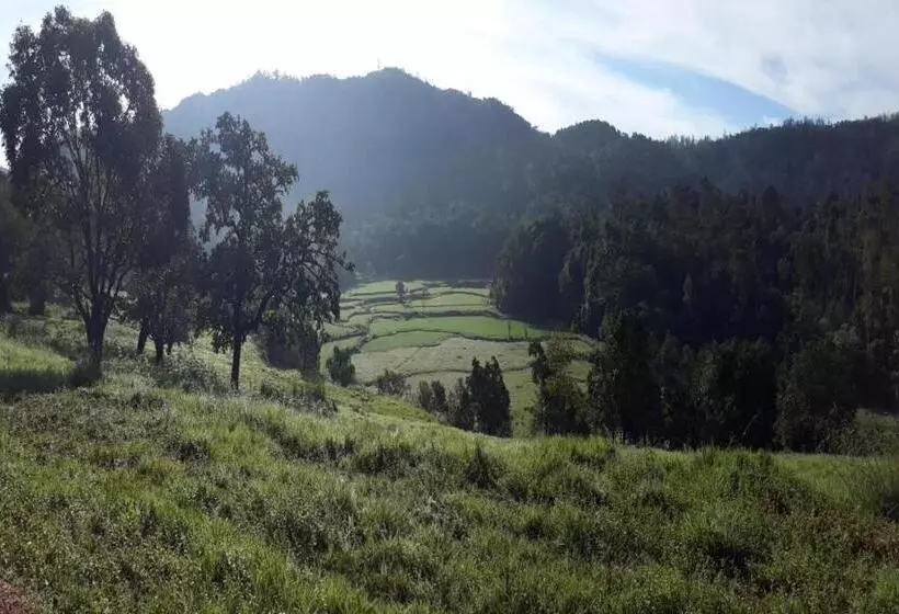 Kadumane Hills Pure Veg Resort