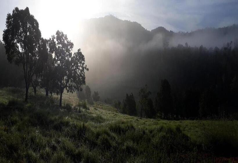 Kadumane Hills Pure Veg Resort