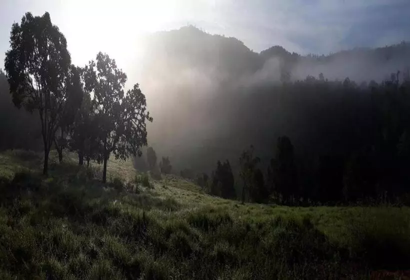Kadumane Hills Pure Veg Resort