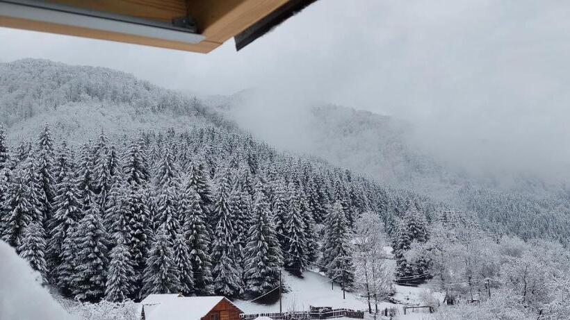 膳宿费 садиба квітка карпат