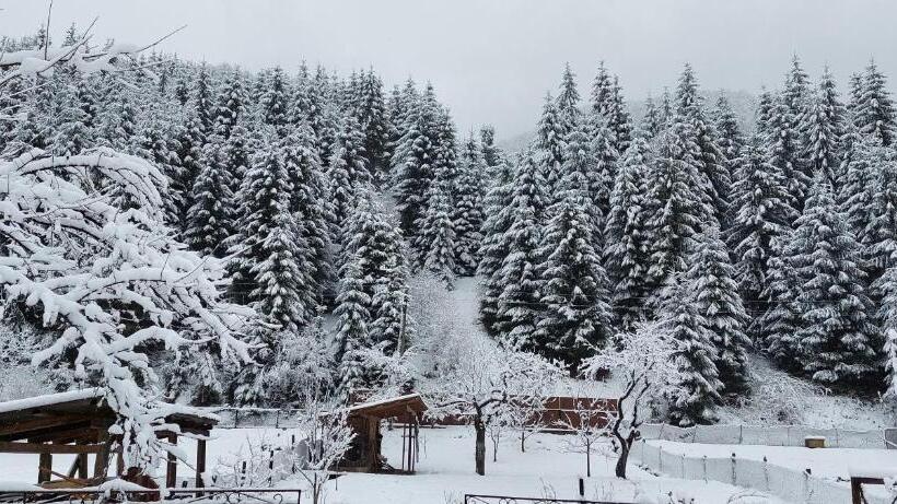 膳宿费 садиба квітка карпат