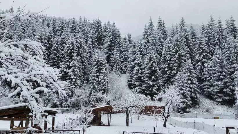 ペンション садиба квітка карпат