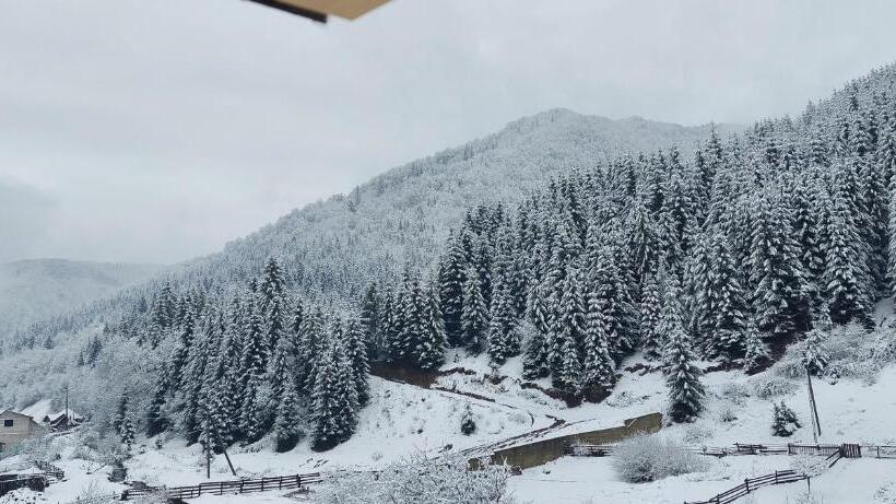 膳宿费 садиба квітка карпат