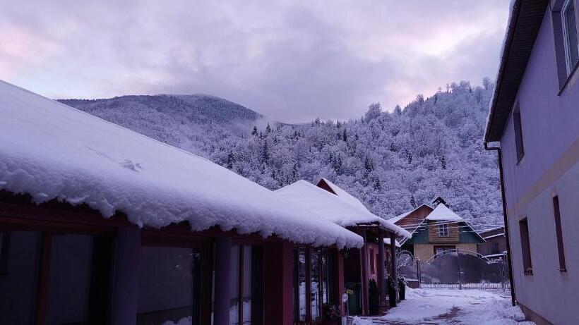 膳宿费 садиба квітка карпат