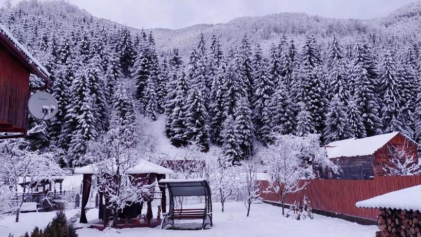 膳宿费 садиба квітка карпат