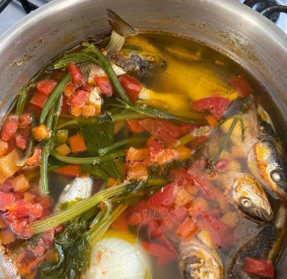 Pensão экодом