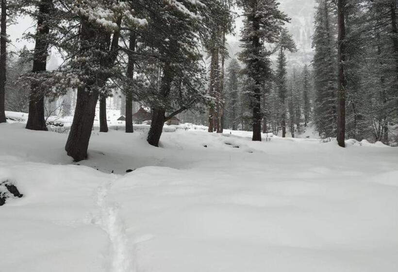 פנסיון Olive Garden Classic