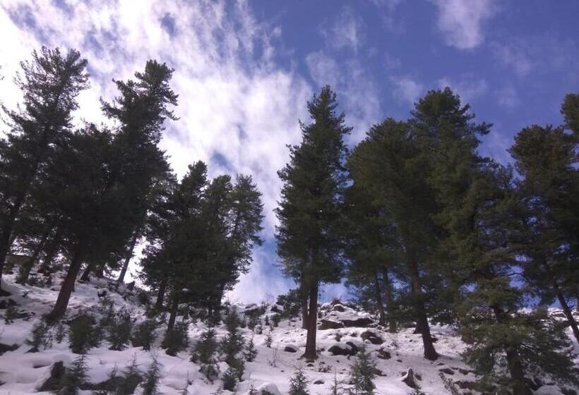 פנסיון Olive Garden Classic