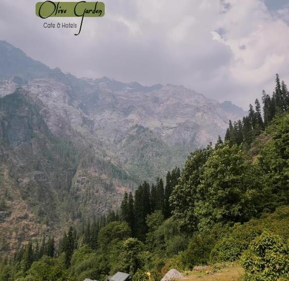 פנסיון Olive Garden Classic