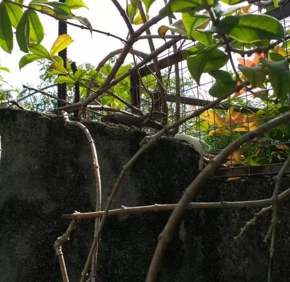 Majatalo Villa Sunrise