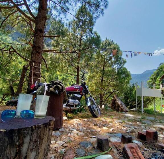 منتجع Pahadibucks