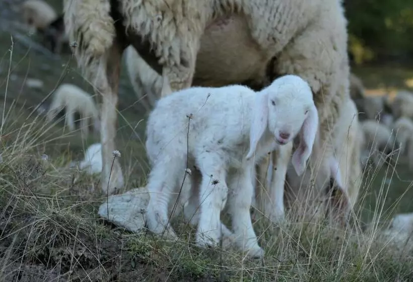Aamiaismajoitus (B&B) La Slitta