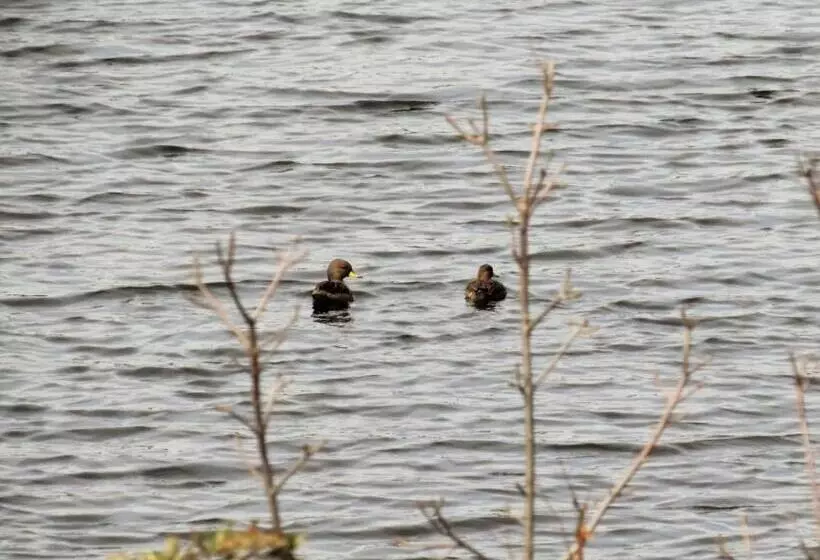 Aamiaismajoitus (B&B) Peperina Lago Los Molinos