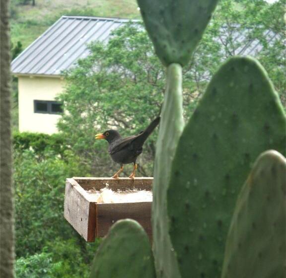 Bed & Breakfast Peperina Lago Los Molinos