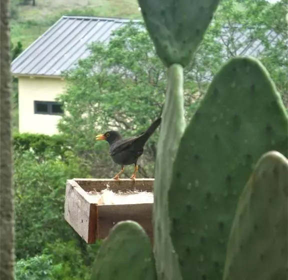 Aamiaismajoitus (B&B) Peperina Lago Los Molinos