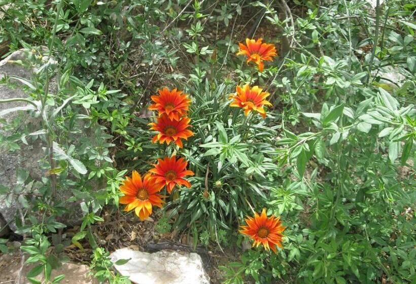 Bed & Breakfast Peperina Lago Los Molinos